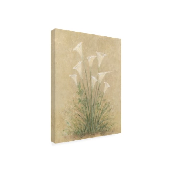 Debra Lake 'White Lilies On Parchment' Canvas Art,24x32